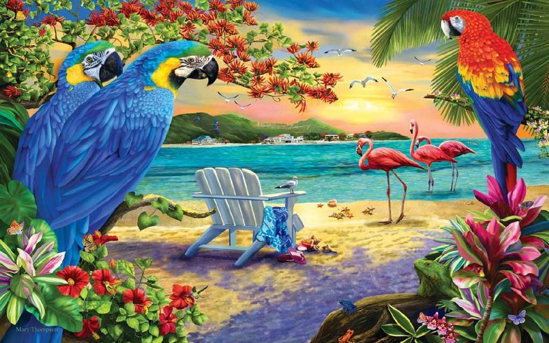 parrots_island.jpg