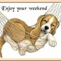 Enjoy Your Weekend