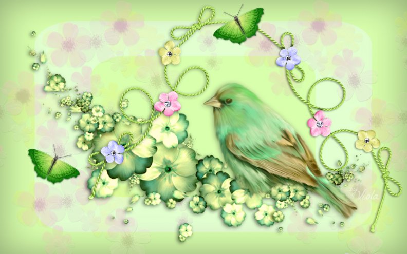 Green Spring Bird