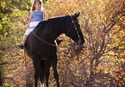 cute girl on horse