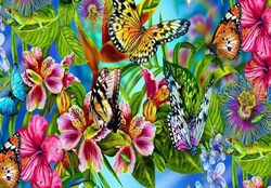 Bright And Beautiful Butterflies