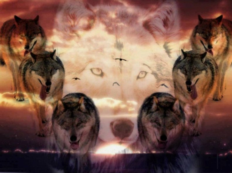 spirit_of_the_wolves.jpg