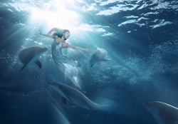 Silent world of dolphins