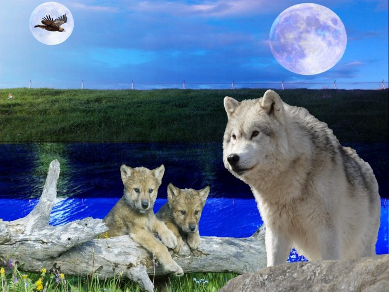 wolves_moon_and_eagle.jpg