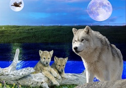 Wolves Moon and Eagle