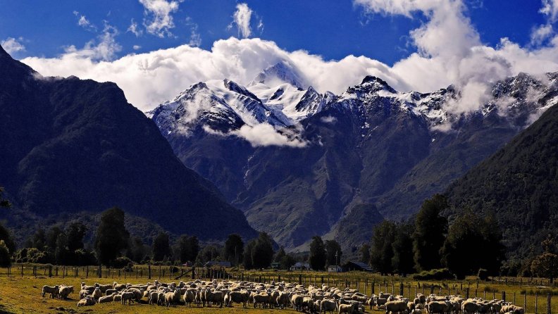 sheep_grazing_under_majestic_mountains.jpg