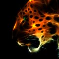 Leopard fractal
