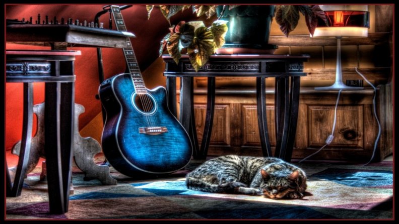 cat sleeping next to a blue guitar hdr