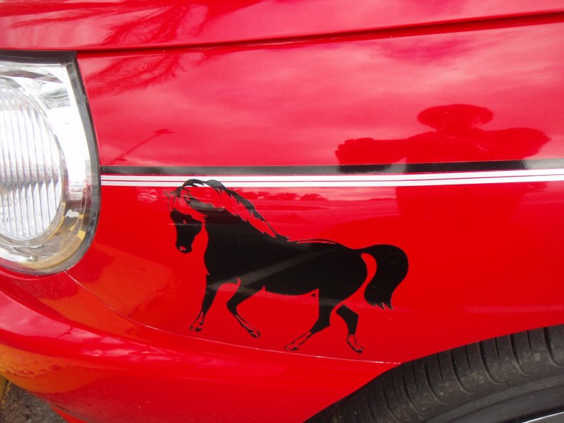 black_horse_red_car.jpg