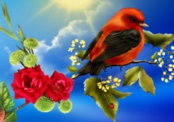 ~*~ Spring Birds ~*~