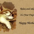 Mother's Day Kitten f