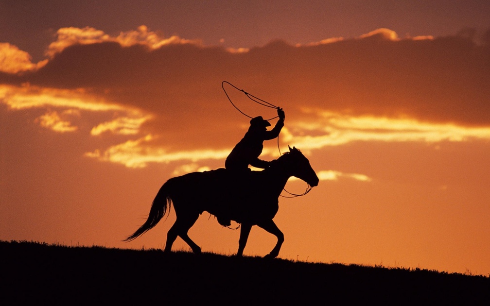 cowboy on horse silhouette at sunset