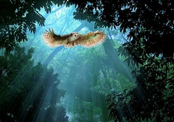 Majestic flight of an owl