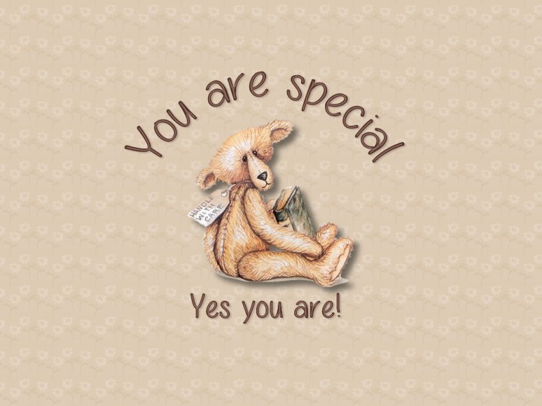 You are special bear