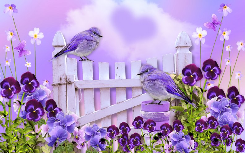 Birds and Pansies