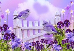 Birds and Pansies
