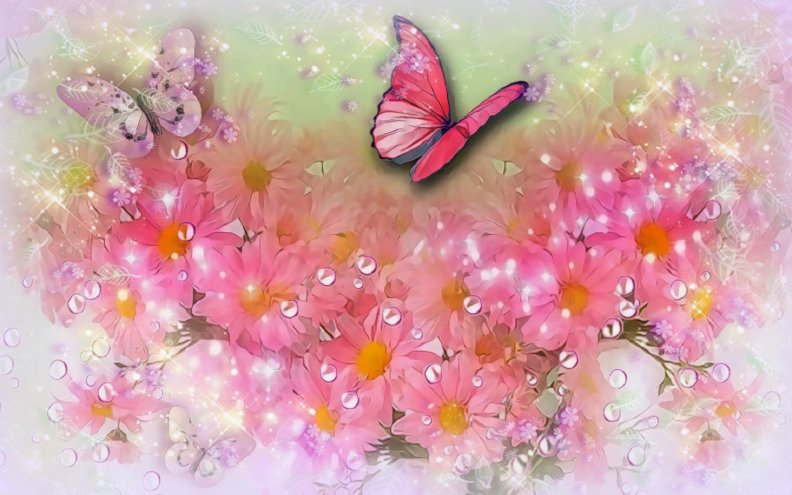 dew_drops_on_pink_petals.jpg