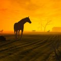 Horse in Twilight