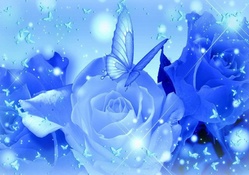 ♥Fluttering on Blue Roses♥
