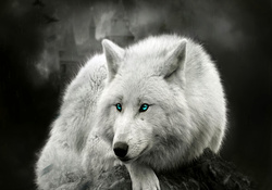Awesome Wolf