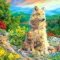 ★Family Time of Wolves★