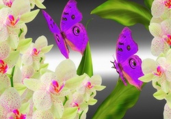 Yearn for the orchids
