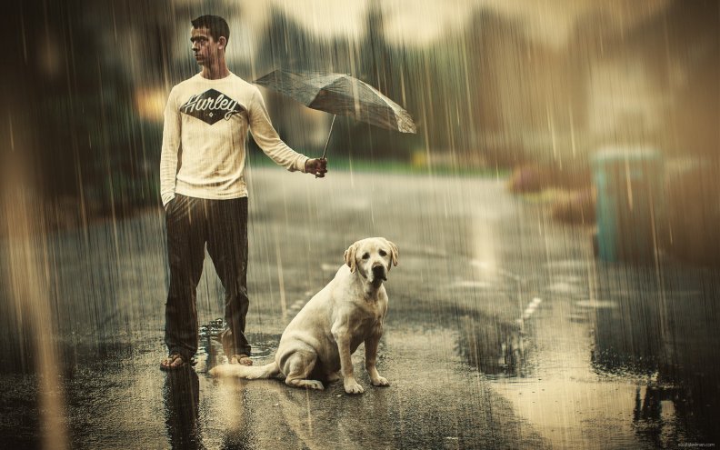 man_dog_and_rain.jpg