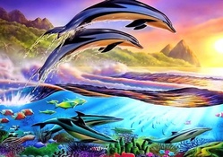 Dolphin paradise