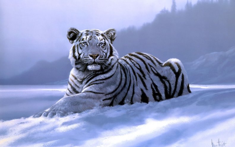 white_tiger.jpg