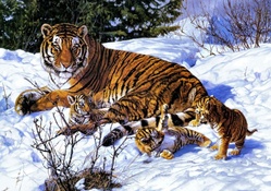 Tiger with Cubs