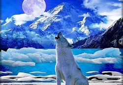 Howling  at Full Moon