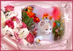 Sweet Kitten amoung the flowers