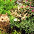 cute owl in a spring garden