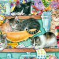 Kittens in the Candy F1