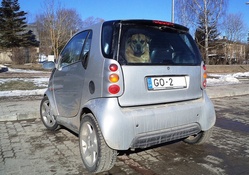 Big dog in little car.