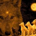 Wolves Spirits of the Moon