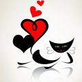 Valentine Cat Love