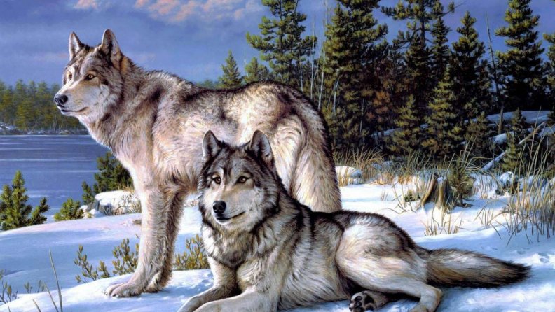 beautiful_painted_wolves.jpg