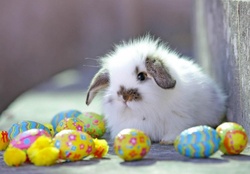 Adorable easter
