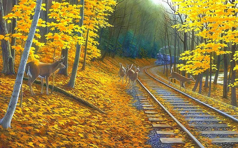 fall_deer_tracks.jpg