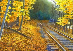 ★Fall Deer Tracks★