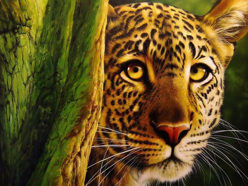 leopard_in_the_jungle.jpg