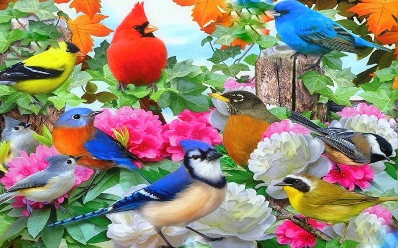 gardening_of_birds.jpg
