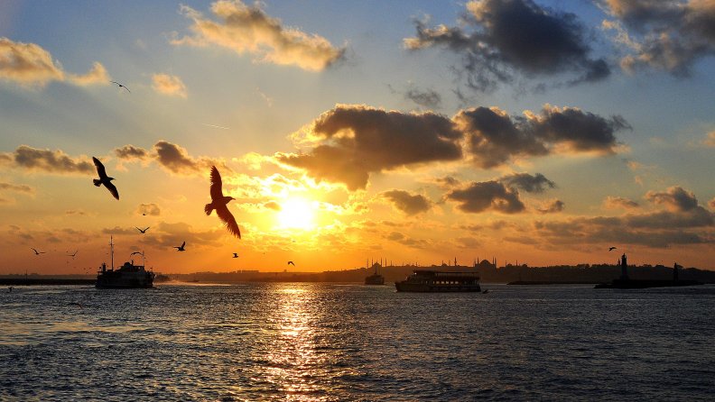 seagulls_in_istanbul_bay_at_sunset.jpg