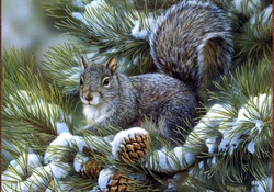 SQUIRREL IN A PINE TREE