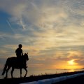 girl riding a horse on shore at sunset
