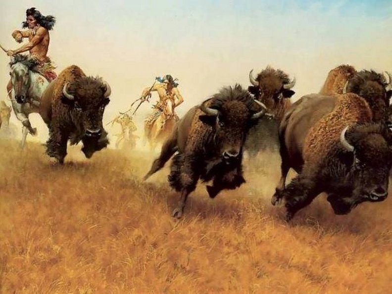 indians_hunting_buffalo.jpg