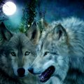 Awesome Wolfs