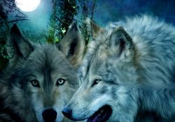 Awesome Wolfs