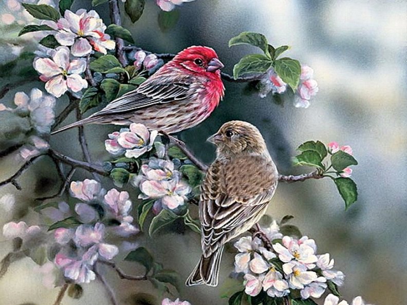 birds_in_spring.jpg